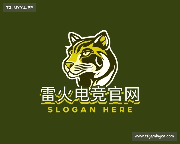 了解雷火电竞官网